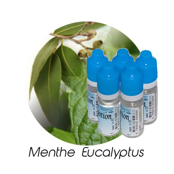 Lot de 5 E-Liquide Menthe Eucalyptus, Eliquide Français Ma Potion, recharge liquide cigarette électronique Sans nicotine ni t