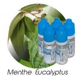 Lot de 5 E-Liquide Menthe Eucalyptus, Eliquide Français Ma Potion, recharge liquide cigarette électronique Sans nicotine ni t