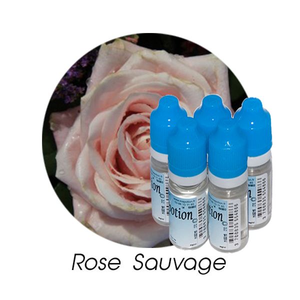 Lot de 5 E-Liquide Rose sauvage Eliquide Français Ma Potion, recharge liquide cigarette électronique Sans nicotine ni tabac